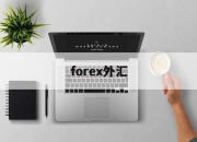 forex外汇(外汇forex是什么意思)