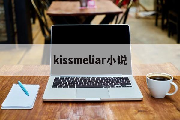 kissmeliar小说(kiss me liar免费阅读)